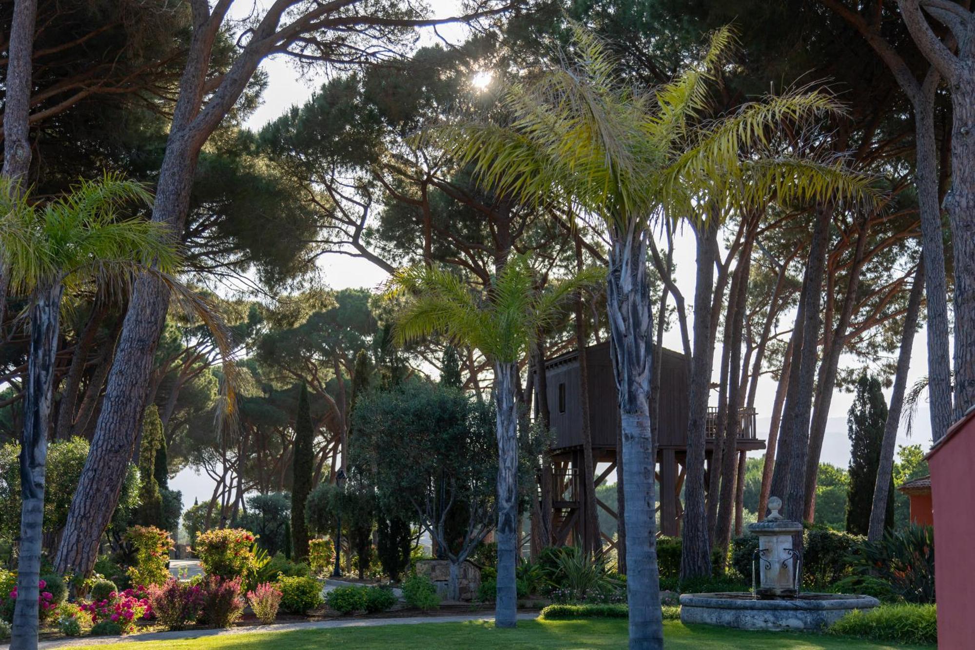 La Signoria Calvi (Corsica) Exterior foto