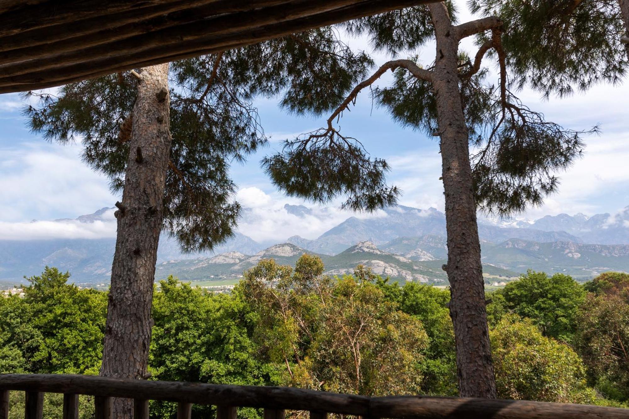 La Signoria Calvi (Corsica) Exterior foto